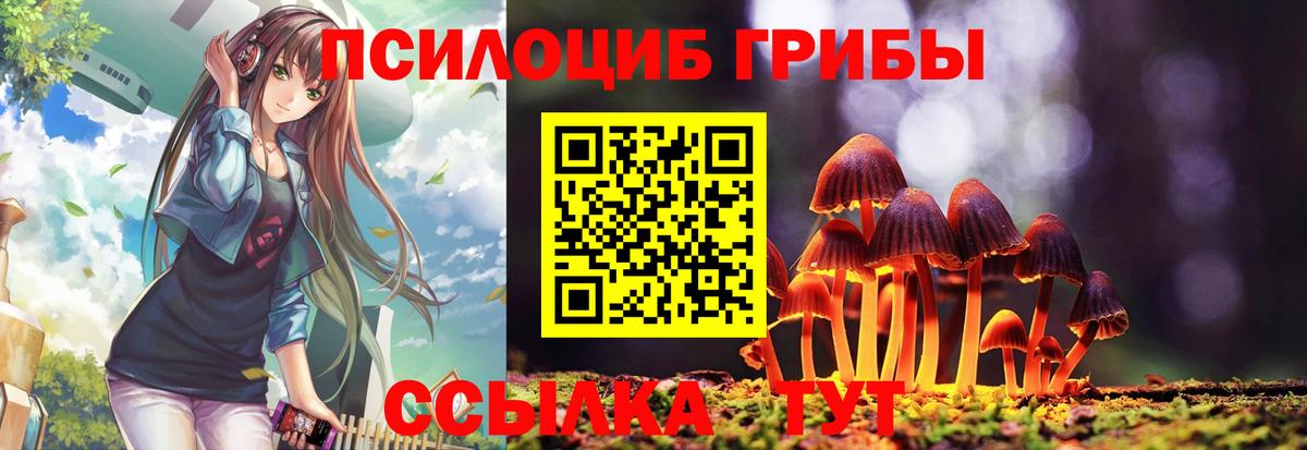 Псилоцибиновые грибы Psilocybe Волжск