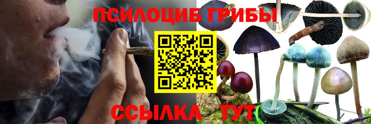 Псилоцибиновые грибы Psilocybine cubensis  Вход с VPN  Волжск 